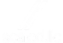 Scaled LLC